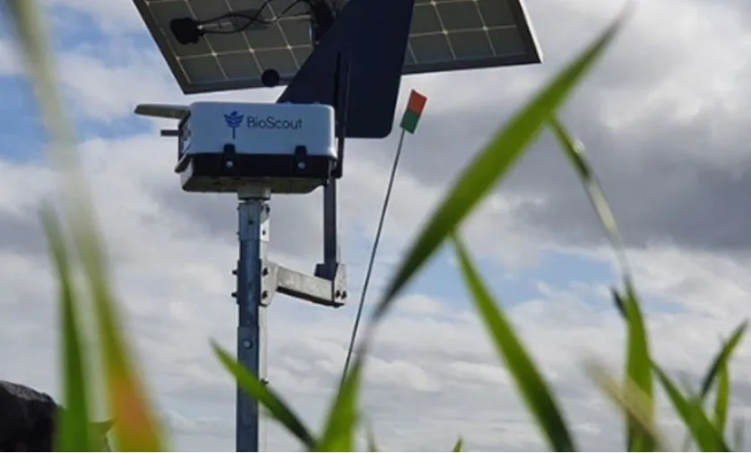 Se lanza en Australia un sistema de alerta temprana aerotransportada para enfermedades de los cereales