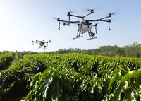 BRASIL: Se lanza protector solar para plantas que combate el cambio climático y aumenta la productividad