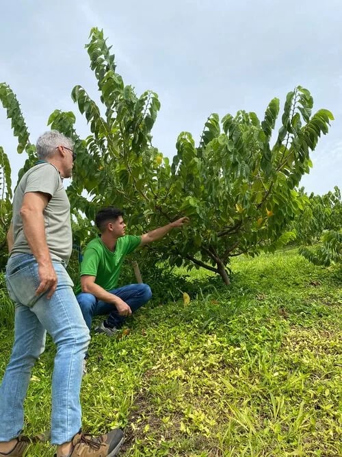 BRASIL: Las políticas públicas y la valoración profesional animan a los jóvenes a permanecer en el campo