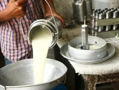 ECUADOR: Se implementa registro obligatorio para procesadores de leche cruda