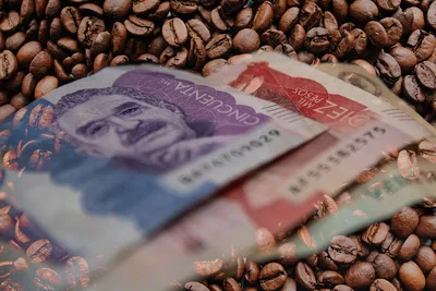 Riesgo de pérdida para exportadores e importadores sería del 30 % por una proyección del dólar errónea