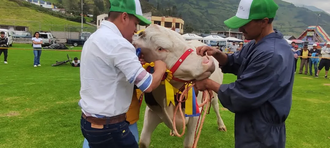 ECUADOR: Patate: expoferia turística y ganadera en Sucre