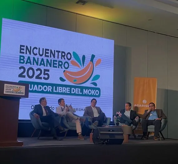 Sector bananero de Ecuador une esfuerzos contra el moko bacteriano en foro nacional