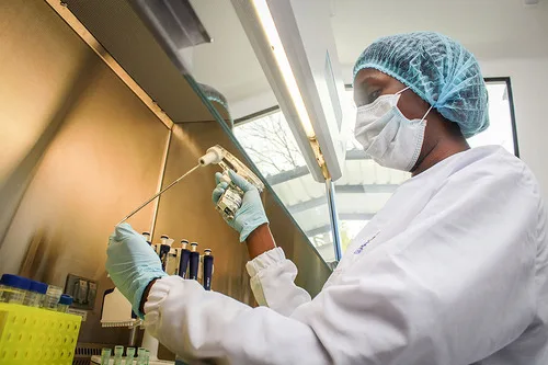 COLOMBIA: Fiebre amarilla evoluciona: urge modernizar vacunas