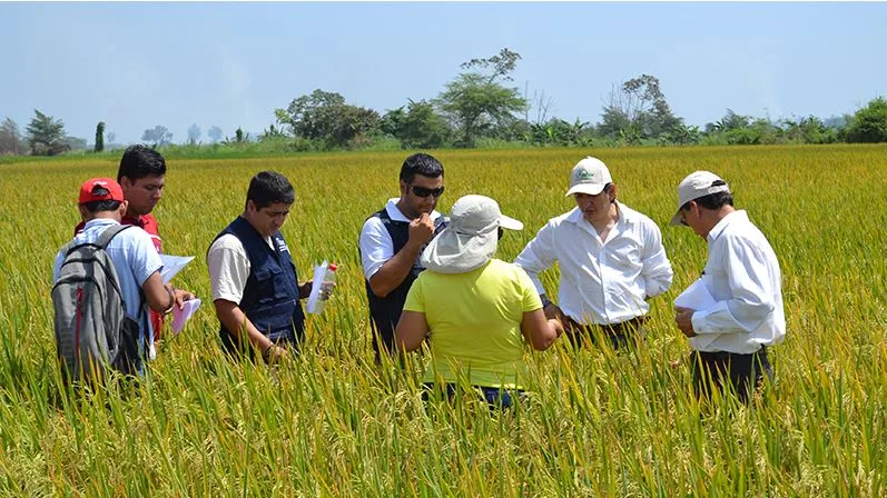 ECUADOR: APCSA reconocerá a destacados profesionales del sector agropecuario en Guayaquil