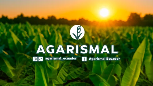 ECUADOR: Agarismal impulsa una nueva era agrícola con innovación local