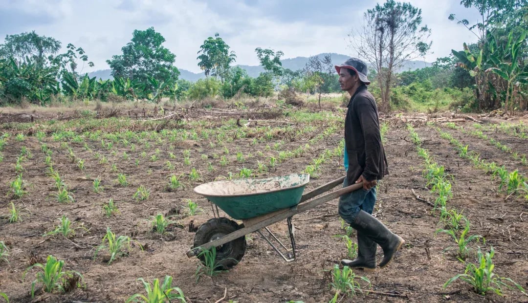 Colombia abre mercados internacionales para pequeños productores