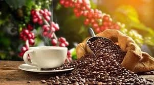 El café colombiano recupera protagonismo y se consolida como motor del comercio exterior