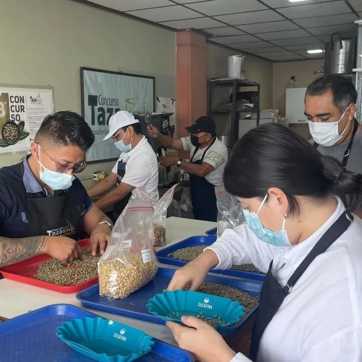 ECUADOR: Ecuador selecciona sus cafés de élite en medio de déficit nacional