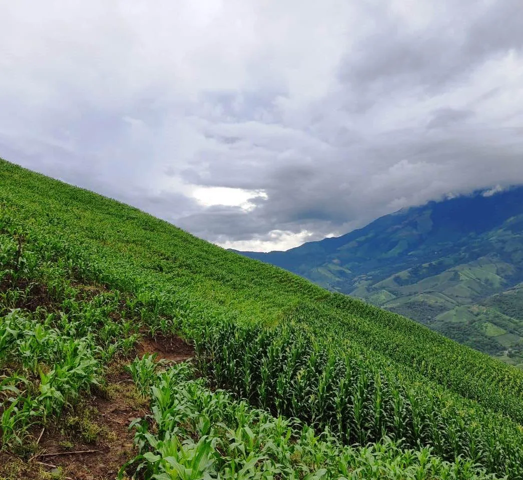 Producción agrícola y turismo rural se conectan en una nueva iniciativa