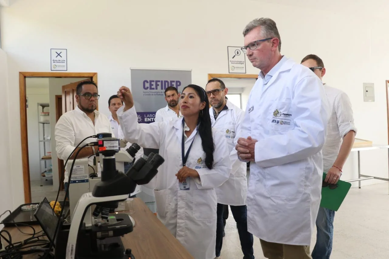 Pitahaya ecuatoriana gana respaldo técnico con inauguración del CEFIDEP