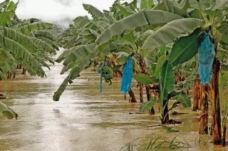 ECUADOR: INAMHI descarta Fenómeno de El Niño, pero advierte calentamiento costero