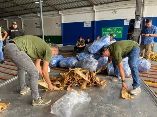 ECUADOR: Autoridades retienen 1,9 toneladas de aletas de tiburón en Guayaquil