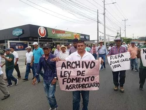 ECUADOR: Arroceros acusan inacción del Gobierno, aseguran ir al paro