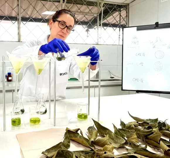 FIASA financia 84 proyectos agropecuarios con una inversión de USD 15,6 millones
