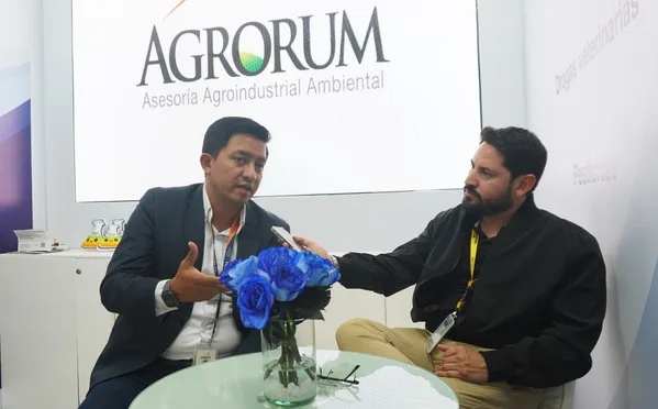 ECUADOR: Alertan deterioro de suelos bananeros por malas prácticas agrícolas