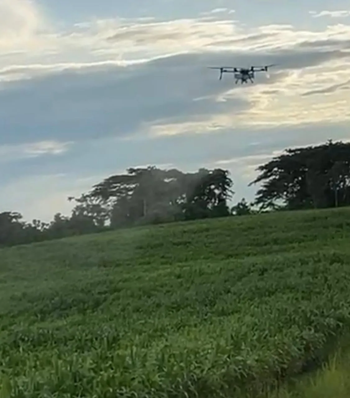 ECUADOR: Tecnología aérea transforma la producción de maíz