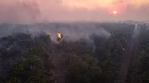 En Brasil, las prácticas indígenas de manejo del fuego transforman la estrategia contra incendios forestales.