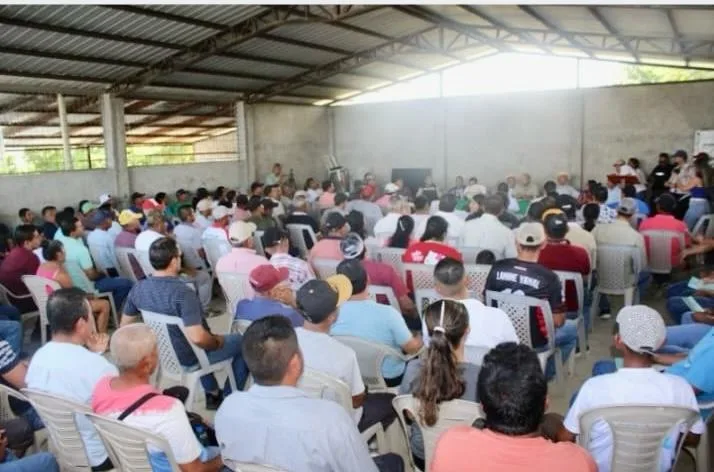ECUADOR: Productores de maíz quedan atrapados por las deudas